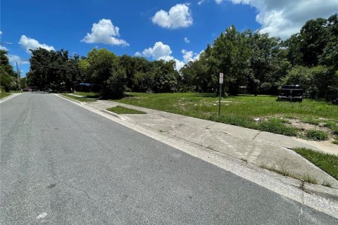 Terreno en venta en Mount Dora, Florida № 1300902 - foto 6