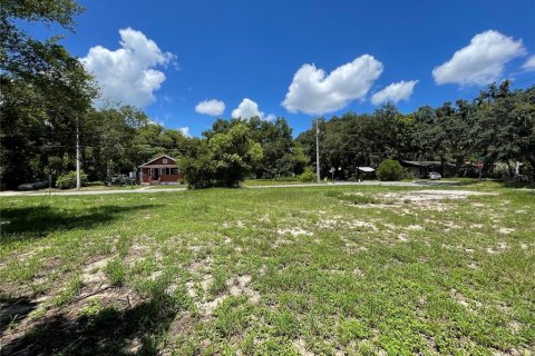 Terreno en venta en Mount Dora, Florida № 1300902 - foto 1