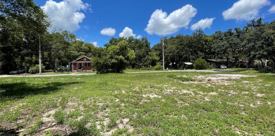 Terreno en Mount Dora, Florida № 1300902