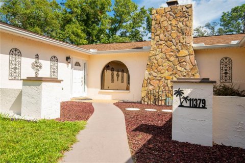 Villa ou maison à vendre à Spring Hill, Floride: 4 chambres, 218.32 m2 № 1342215 - photo 2