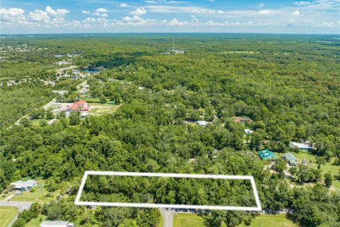 Terreno en venta en Orlando, Florida № 1264319 - foto 6