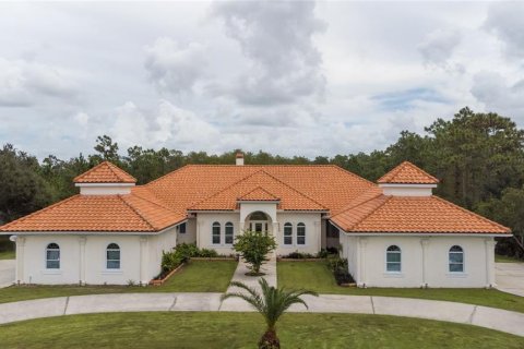 Villa ou maison à vendre à Orlando, Floride: 5 chambres, 386.19 m2 № 1373538 - photo 1