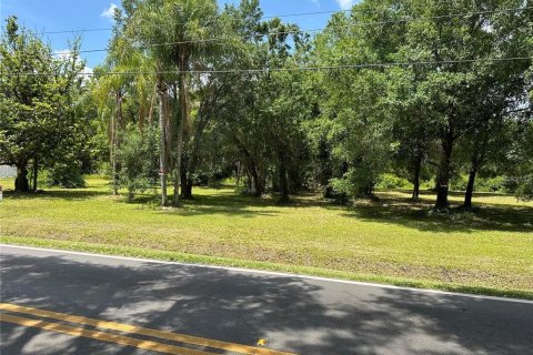 Terreno en venta en Tampa, Florida № 1296279 - foto 6