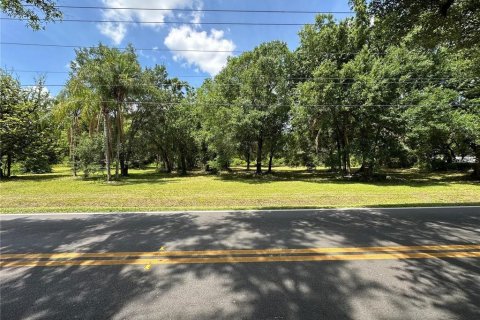 Terreno en venta en Tampa, Florida № 1296279 - foto 7