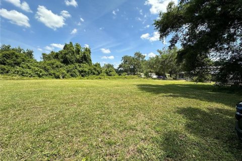 Terreno en venta en Tampa, Florida № 1296279 - foto 1