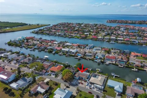 Villa ou maison à vendre à Apollo Beach, Floride: 4 chambres, 157.93 m2 № 1352478 - photo 2