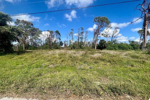 Terrain à vendre à Rotonda, Floride № 1036837 - photo 5