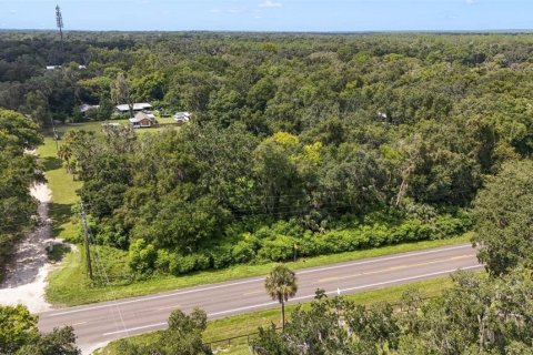 Terreno en venta en Altoona, Florida № 1374571 - foto 10