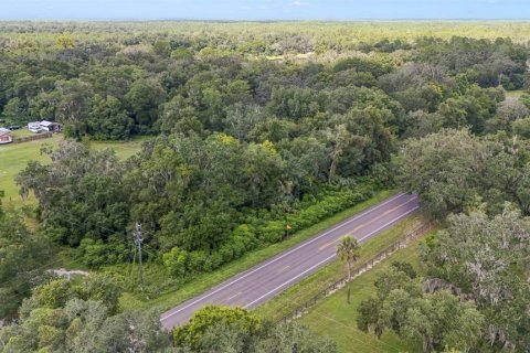 Terreno en venta en Altoona, Florida № 1374571 - foto 9