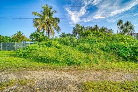 Terreno en venta en Miami, Florida № 1048033 - foto 5