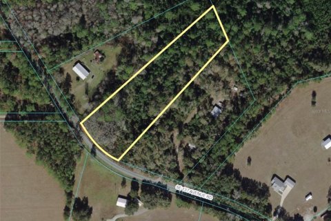 Terreno en venta en Ocklawaha, Florida № 1295398 - foto 1