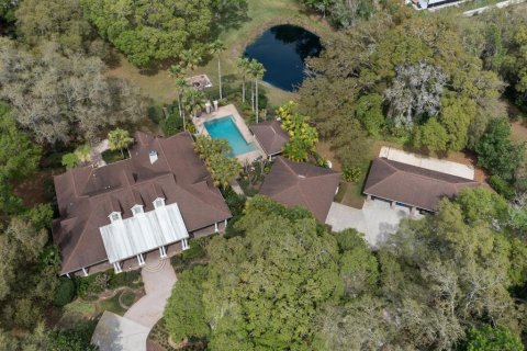 Villa ou maison à vendre à Lutz, Floride: 4 chambres, 402.17 m2 № 1056113 - photo 5