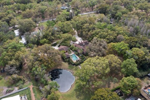 Villa ou maison à vendre à Lutz, Floride: 4 chambres, 402.17 m2 № 1056113 - photo 4