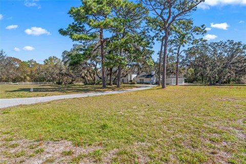 Villa ou maison à vendre à Clearwater, Floride: 4 chambres, 517.84 m2 № 1038591 - photo 15