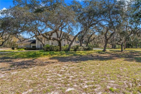 Villa ou maison à vendre à Clearwater, Floride: 4 chambres, 517.84 m2 № 1038591 - photo 17