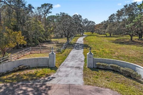 Villa ou maison à vendre à Clearwater, Floride: 4 chambres, 517.84 m2 № 1038591 - photo 2