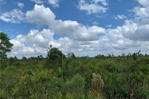 Terreno en venta en Punta Gorda, Florida № 1029490 - foto 3