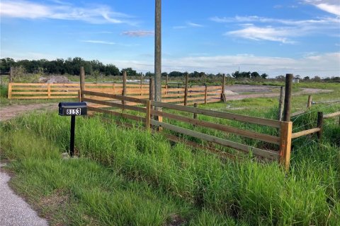 Land in Arcadia, Florida № 1295435 - photo 1