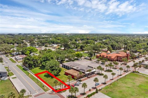 Terreno en venta en Tavares, Florida № 1295473 - foto 1