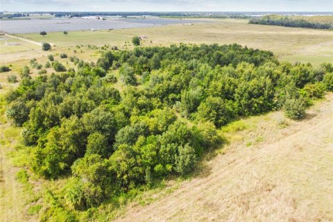 Land in Thonotosassa, Florida № 1295390 - photo 21