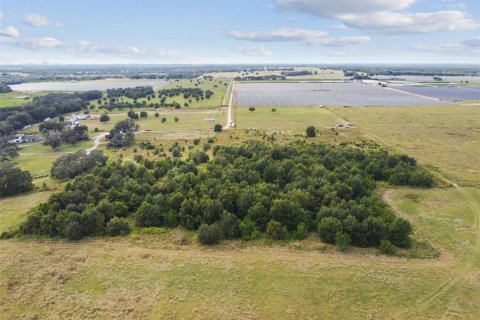 Land in Thonotosassa, Florida № 1295390 - photo 11