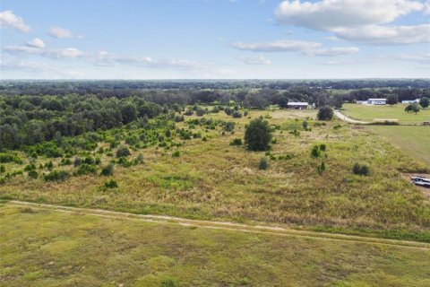 Terreno en venta en Thonotosassa, Florida № 1295390 - foto 18