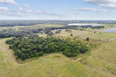 Terreno en venta en Thonotosassa, Florida № 1295390 - foto 10