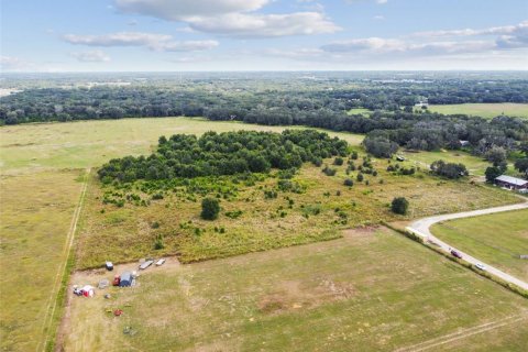 Terreno en venta en Thonotosassa, Florida № 1295390 - foto 16