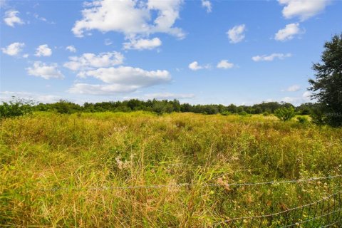 Land in Thonotosassa, Florida № 1295390 - photo 27