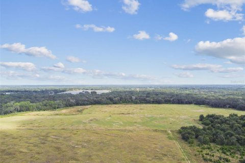 Land in Thonotosassa, Florida № 1295390 - photo 17