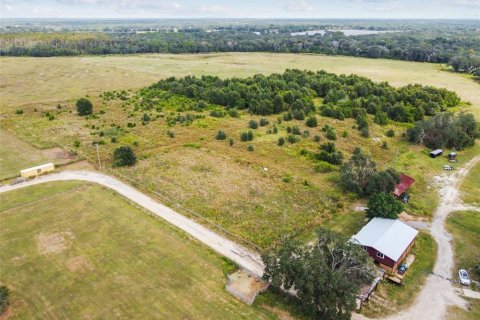 Land in Thonotosassa, Florida № 1295390 - photo 19