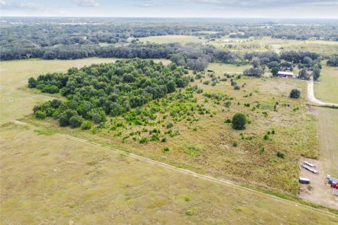 Terreno en venta en Thonotosassa, Florida № 1295390 - foto 9