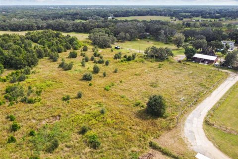 Land in Thonotosassa, Florida № 1295390 - photo 24