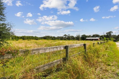 Land in Thonotosassa, Florida № 1295390 - photo 29