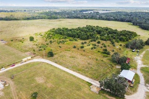 Land in Thonotosassa, Florida № 1295390 - photo 14