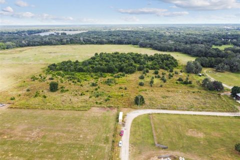 Land in Thonotosassa, Florida № 1295390 - photo 15