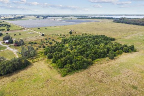 Land in Thonotosassa, Florida № 1295390 - photo 12