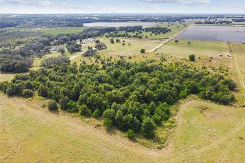 Terreno en venta en Thonotosassa, Florida № 1295390 - foto 23