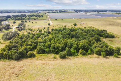 Land in Thonotosassa, Florida № 1295390 - photo 22