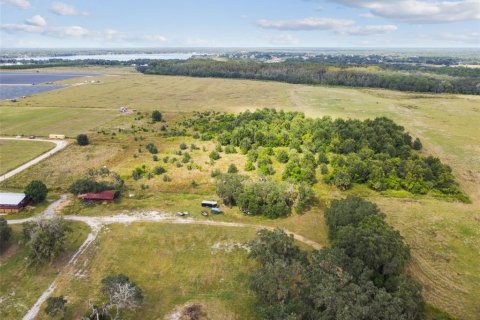 Land in Thonotosassa, Florida № 1295390 - photo 13