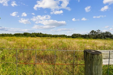 Terreno en venta en Thonotosassa, Florida № 1295390 - foto 26