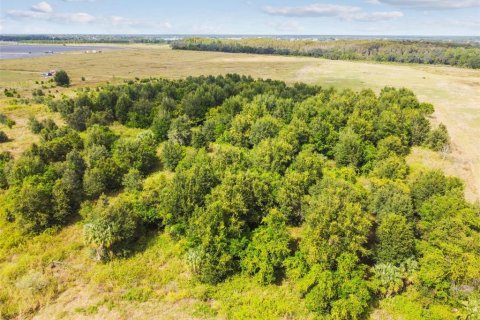 Land in Thonotosassa, Florida № 1295390 - photo 20