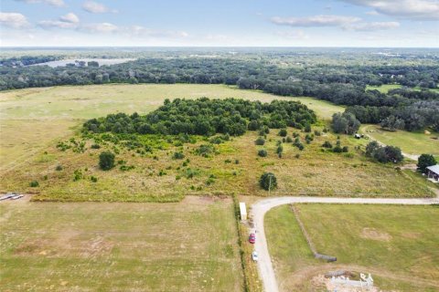 Land in Thonotosassa, Florida № 1295390 - photo 1