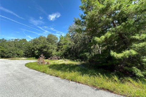 Terreno en venta en Ocala, Florida № 1280327 - foto 3