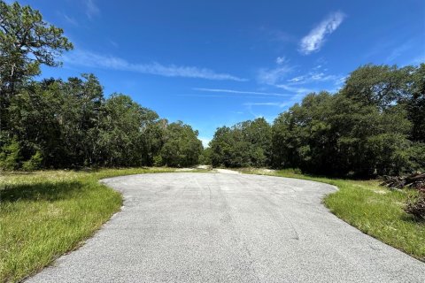 Terreno en venta en Ocala, Florida № 1280327 - foto 1