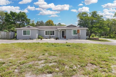 Villa ou maison à vendre à Hudson, Floride: 4 chambres, 210.33 m2 № 1343295 - photo 1