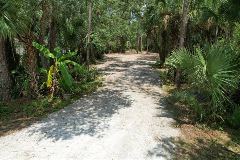 Land in Christmas, Florida № 1327166 - photo 2