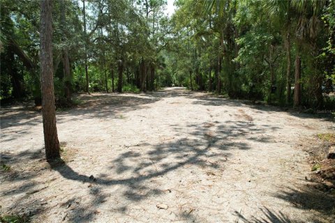 Terreno en venta en Christmas, Florida № 1327166 - foto 6