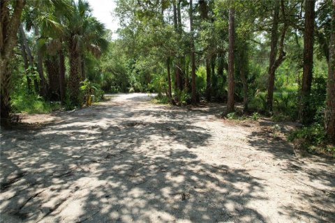 Terreno en venta en Christmas, Florida № 1327166 - foto 22