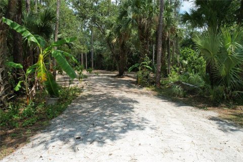 Terreno en venta en Christmas, Florida № 1327166 - foto 10